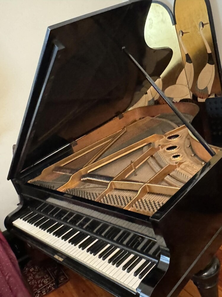 Andrew Clermont Piano Tuning 18